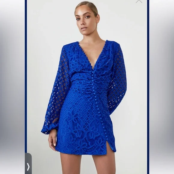 plus size blue lace dress Elise Embroidered Pleated Tulle Midi Dress main image 1